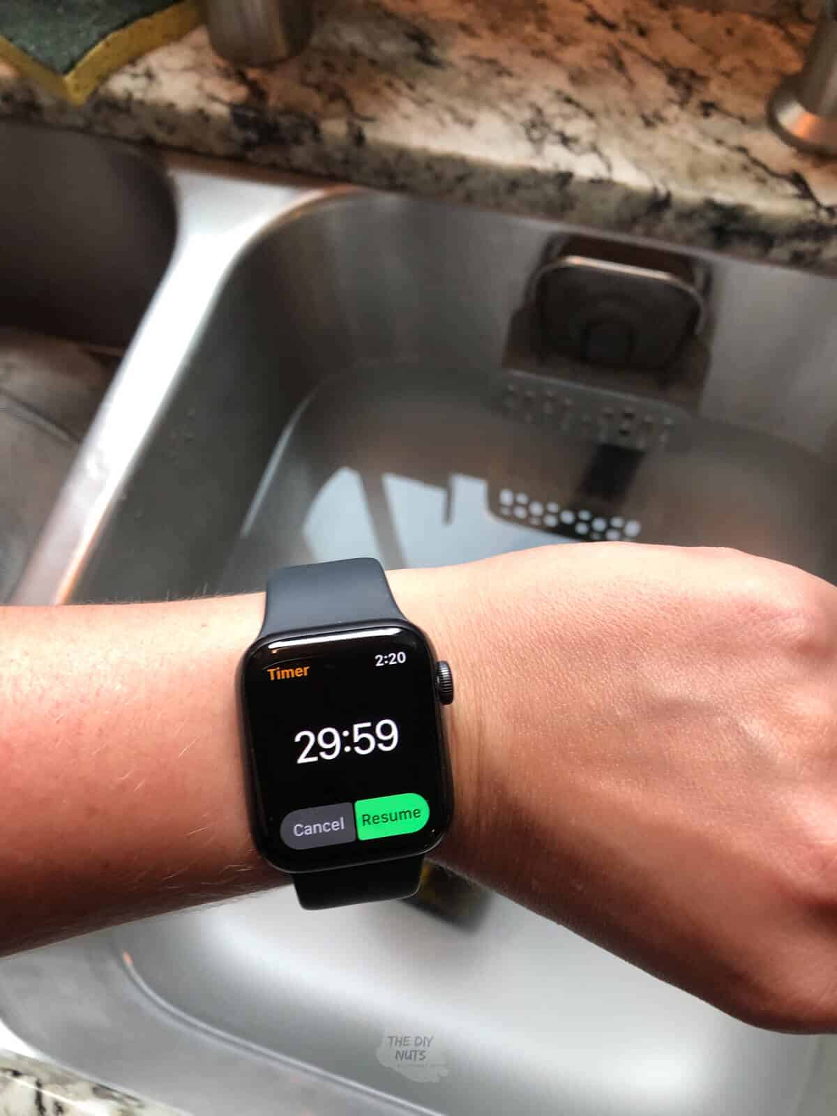 apple watch setting a 30 minute timer on wrist