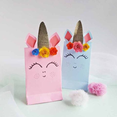 10 Easy DIY Loot Bags For Your Next Birthday Party - The DIY Nuts