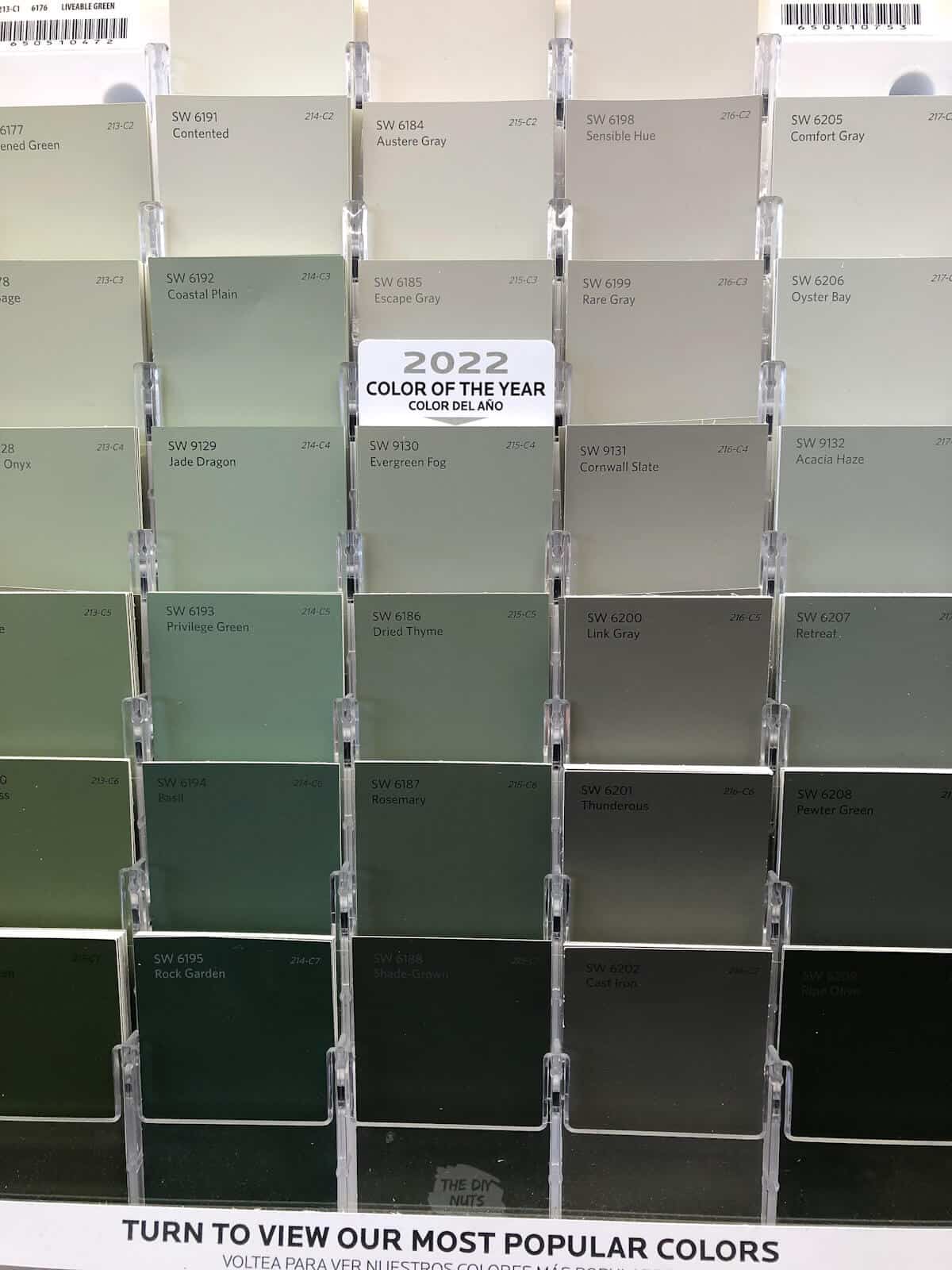 Sherwin Williams paint chips with Color of the year 2022 above Evergreen Fog