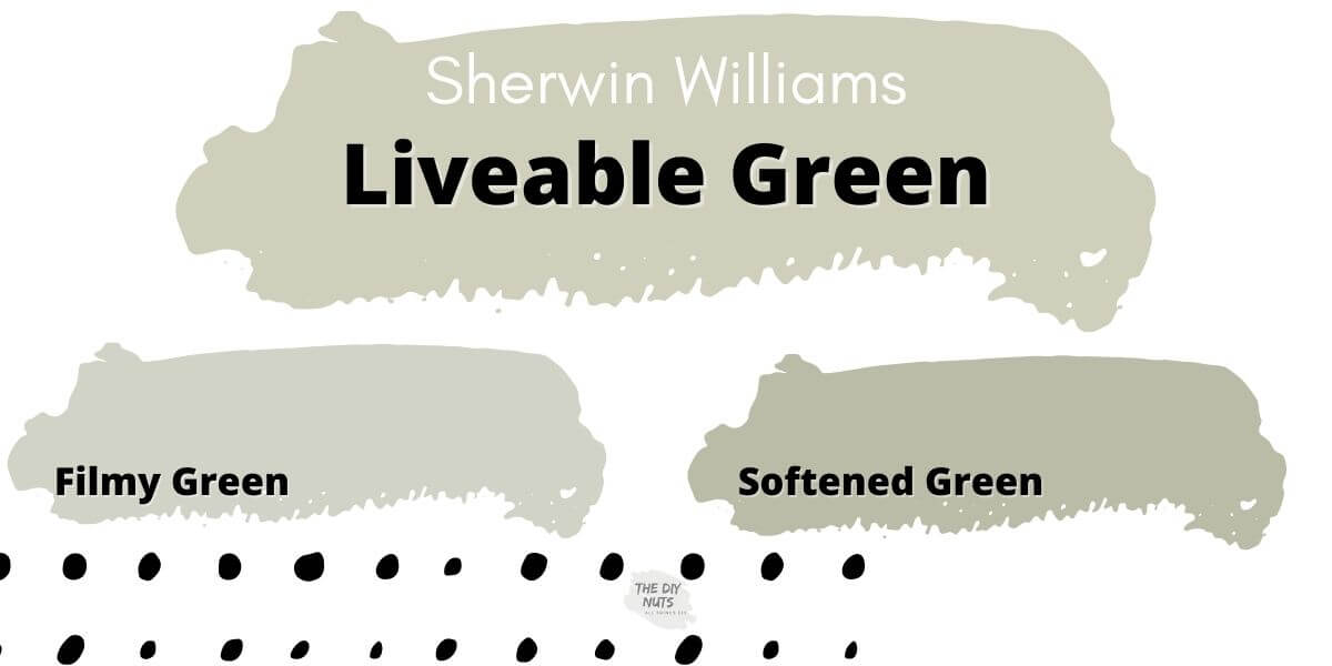Sherwin Williams Green Paint vs Filmy Green and Softened Green