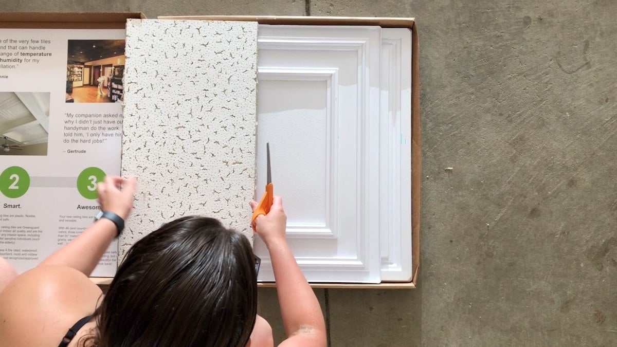 How To Paint Ceiling Tile Rails Shelly Lighting