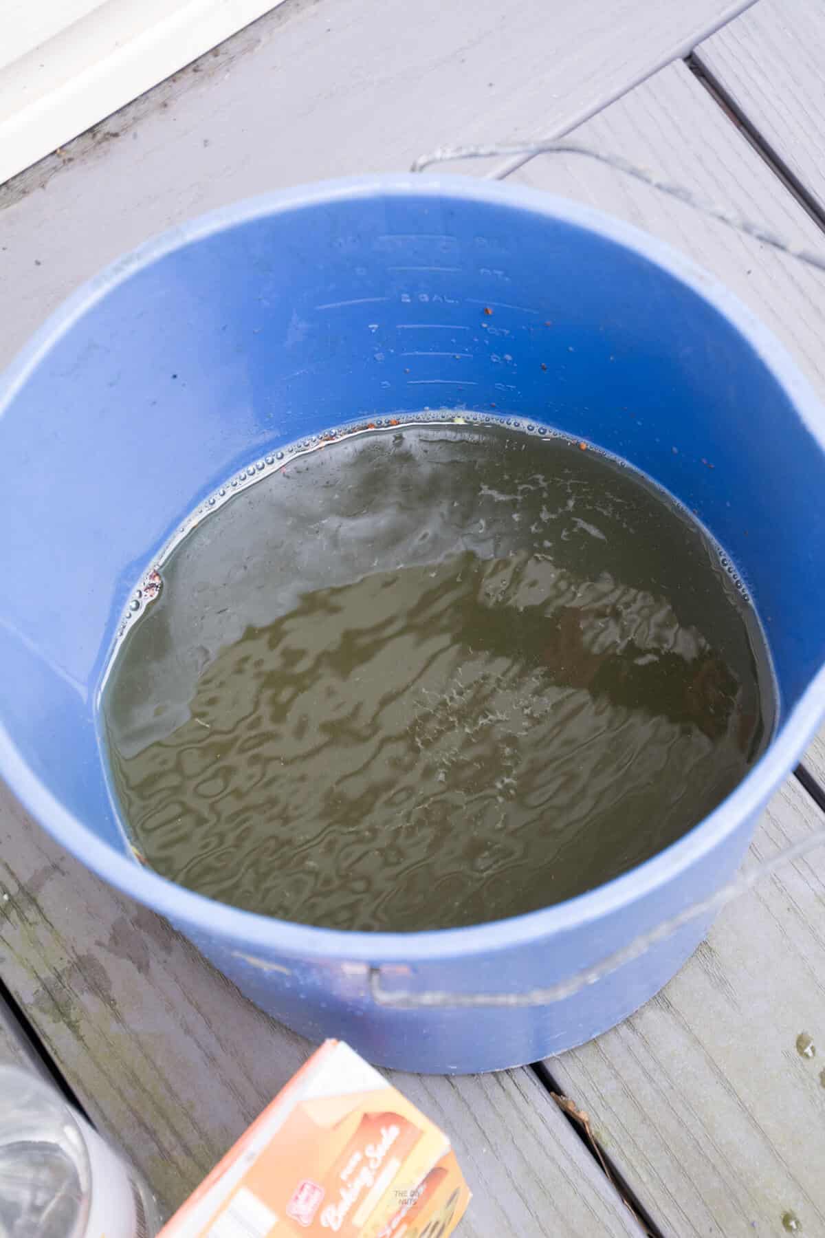 bucket filled with mildew after DIY cleaning used.