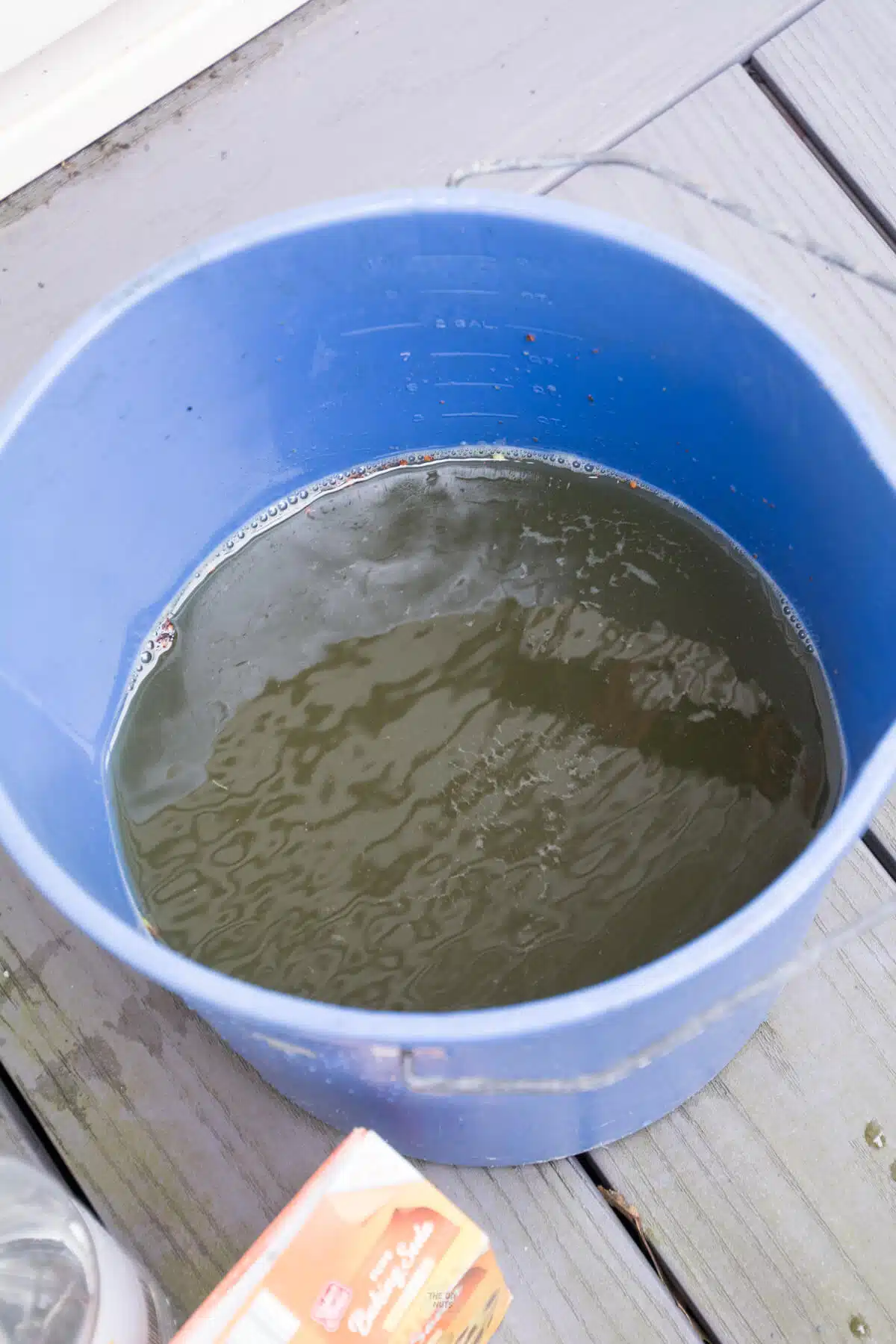 bucket filled with mildew after DIY cleaning used.