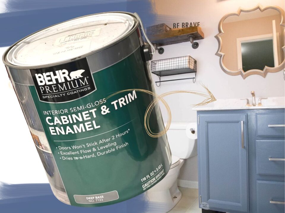 Best Paint For Bathroom The DIY Nuts
