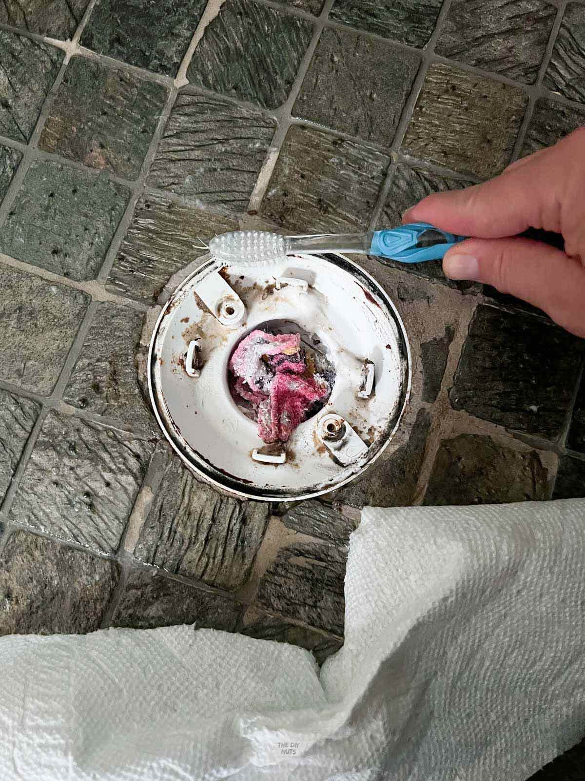 hand using toothbrush to clean top of drain in shower.