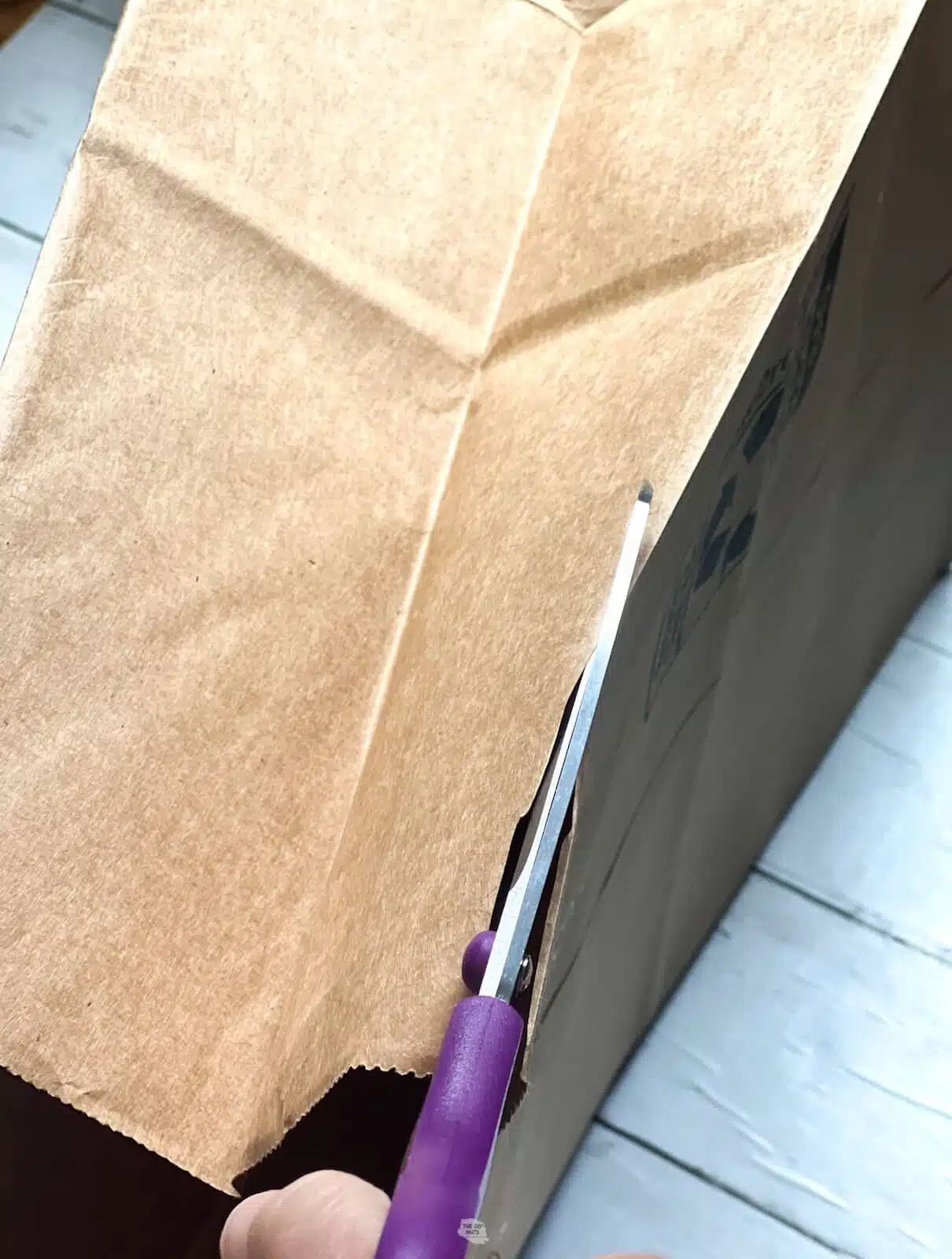 scissors cutting down side of brown bag.