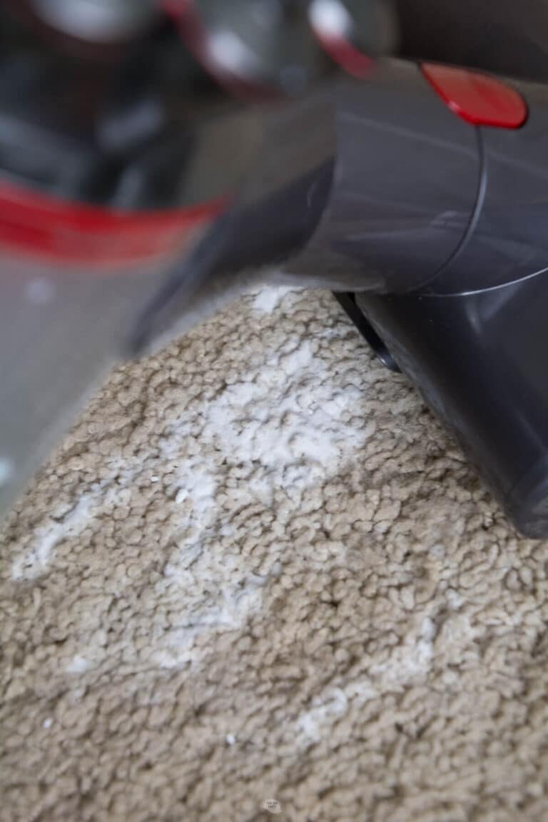 How To Easily Clean Carpet On Stairs - The DIY Nuts