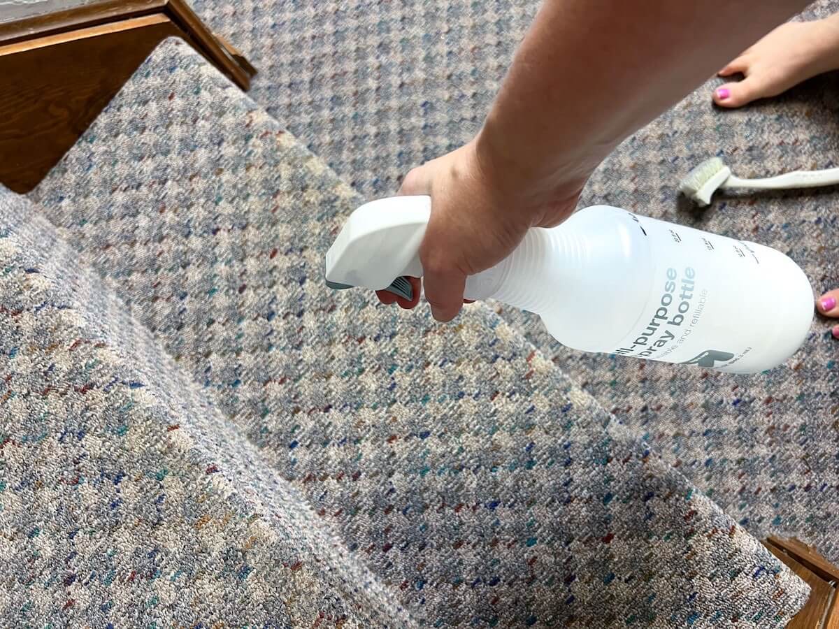 spray bottle adding homemade cleaner to patterned carpet stairs.
