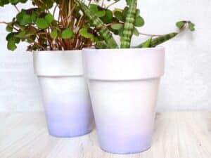 two terracotta flower pots with ombré purple dip on the bottom.