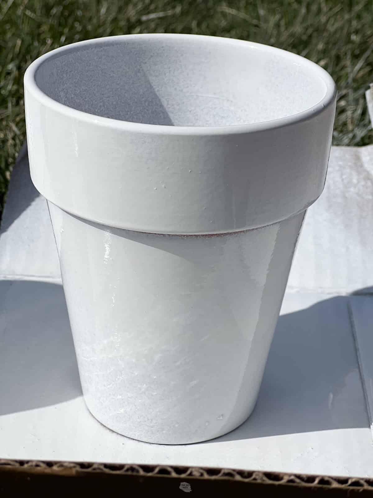 painted white terracotta flower pot.